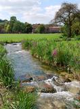 CHALK STREAMS IN CRISIS